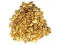 - Goud Detectors